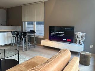 Luxurious Two Bedroom Apartment - Bruxelles - 5