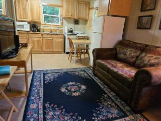 Mountain Side Chalet - 6