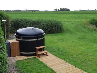 Fantastic brand new vacation home near the Wadden - Paesens - 7