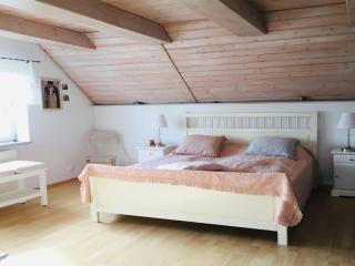 Stylish house in Kashubian countryside - Łyśniewo - 1