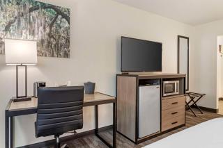 Best Western of Alexandria Inn & Suites & Conference Center - Alexandria - 3