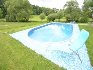 Pet-Friendly Holiday home - Bechyně - 3
