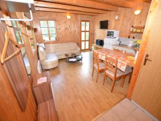 Pet-Friendly Holiday home - Bechyně - 1