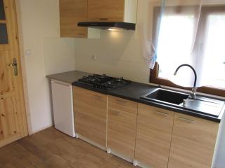 Small holiday home, right on the lake, Ryn - Ryn - 2