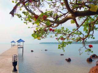 Koh Mak Buri Hut Natural Resort - 5