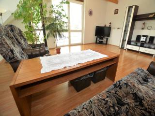 Villa in Bechyne near town center - Bechyně - 5