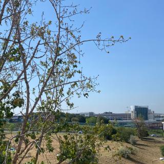 Lisbon Airport Guesthouse - Lissabon - 4