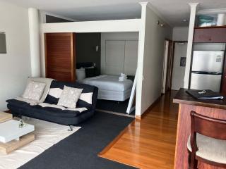 Easy stay One Bedrm Apartment on Princes Wharf - Auckland - 3