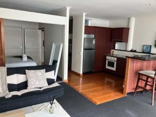 Easy stay One Bedrm Apartment on Princes Wharf - Auckland - 4