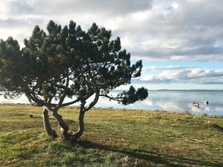 4 person holiday home in Jægerspris - Jægerspris - 9