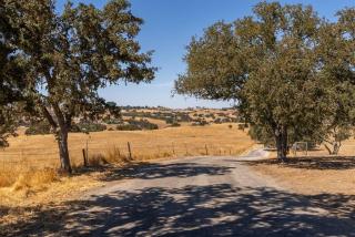 Whispering Oaks Manor-Pets Ok, Spa, Game room - El Paso de Robles - 8
