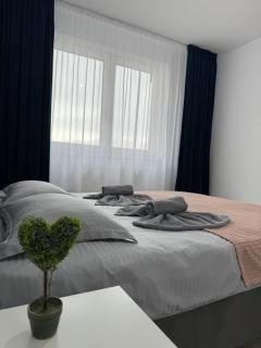 Grandis Residence 16 - Braşov - 0