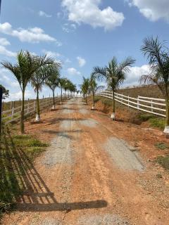 Sítio Vale Encantado - 7