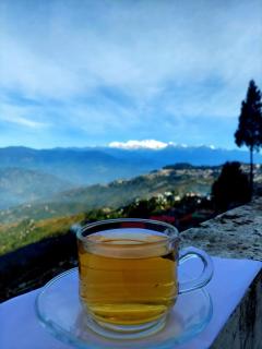 Viraj Kunj Homestay - Darjeeling - 9