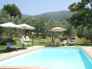 Modern holiday home in Castelfranco di Sopra with swimming pool - Pian di Scò - 0