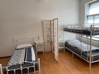 Apartment In Eilenburg near Düben Heath - Eilenburg - 9