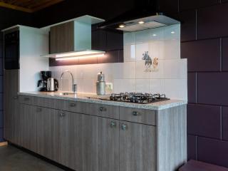Bungalow with decorative fireplace, on farm - Heeten - 2
