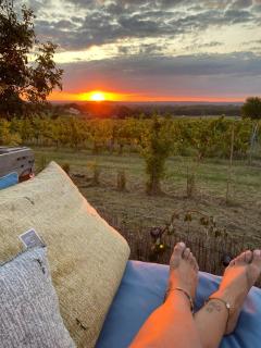 Bubulles dans les vignes - - 8