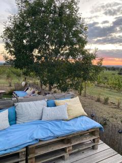 Bubulles dans les vignes - - 7