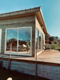Bubulles dans les vignes - - 3