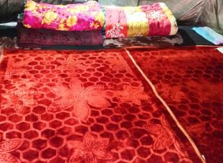 Neelkanth camps - 6
