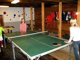 Perfect house for groups, many facilities, 14 Miles from skiarea Branäs - Sysslebäck - 7