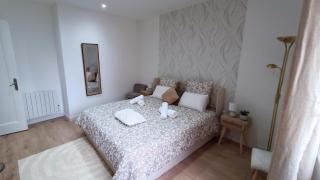 La Perle F3 Moderne et Cosy Centre ville Netflix - Mulhouse - 1