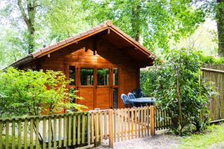 Huisdiervriendelijk houten huisje in het groen - Epe - 0