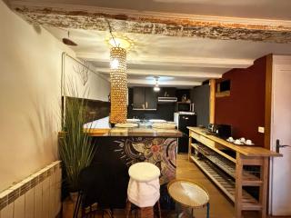 T3 bohème - Vieille Ville Annecy - Annecy - 8