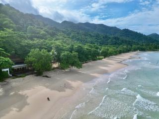 Beach Jungle - Ko Chang - 2
