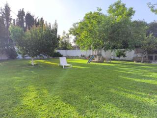 Corfiota Sourina - 6