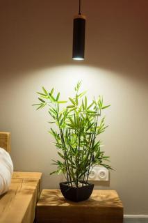Le petit paradis - Orange - 4