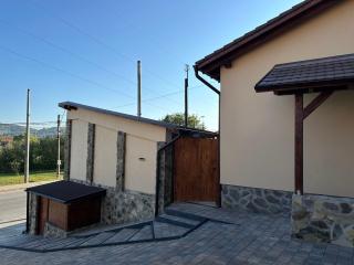 Casa Transilvania - Pool & Sauna - Mediaş - 8