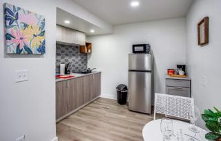 Newly remodeled bright studio - Rochester - 1