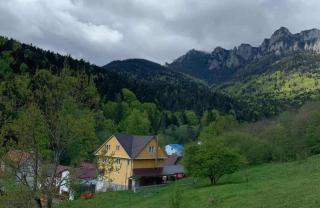 Vila Gloria - Izvoru Muntelui - 8