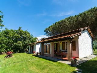 Authentic farmhouse in Castiglion Fiorentino with organic wines - Castiglion Fiorentino - 0