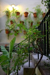 29 Madeira Hostel - Funchal - 6