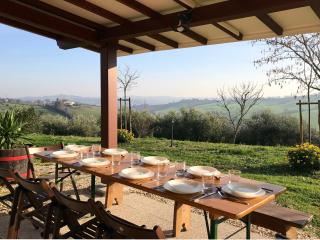 Historic farmhouse in Senigallia with swimming pool, barbecue, gym, olive grove and garden - Senigallia - 3