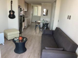 Departamento Amoblado Avenida Italia - Santiago - 8