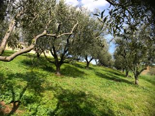 private spa in historic villa with pool in Senigallia - 1
