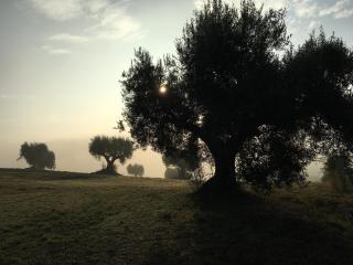 private spa in historic villa with pool in Senigallia - 2