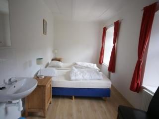 Modern Holiday Home in Vidochov with Private Swimming Pool - Tachov - 5