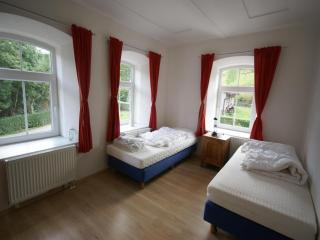 Modern Holiday Home in Vidochov with Private Swimming Pool - Tachov - 4