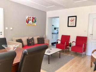 Modern Holiday Home in Vidochov with Private Swimming Pool - Tachov - 3
