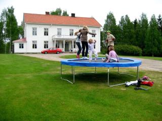 Perfect house for groups, many facilities, 14 Miles from skiarea Branäs - Sysslebäck - 6