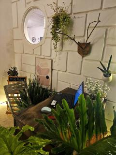 Miri Da Lat Homestay - 4