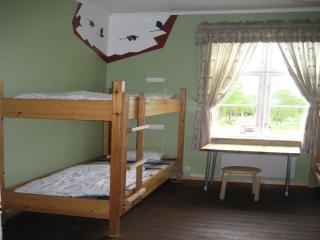Perfect house for groups, many facilities, 14 Miles from skiarea Branäs - Sysslebäck - 3