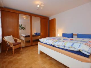 Apartment in the Black Forest with terrace - Villingen-Schwenningen - 8