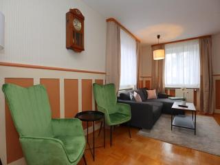 Apartment in the Black Forest with terrace - Villingen-Schwenningen - 1