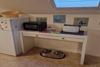 Ferienwohnung in Frankenau sehr tierfreundlich - Frankenau - 2